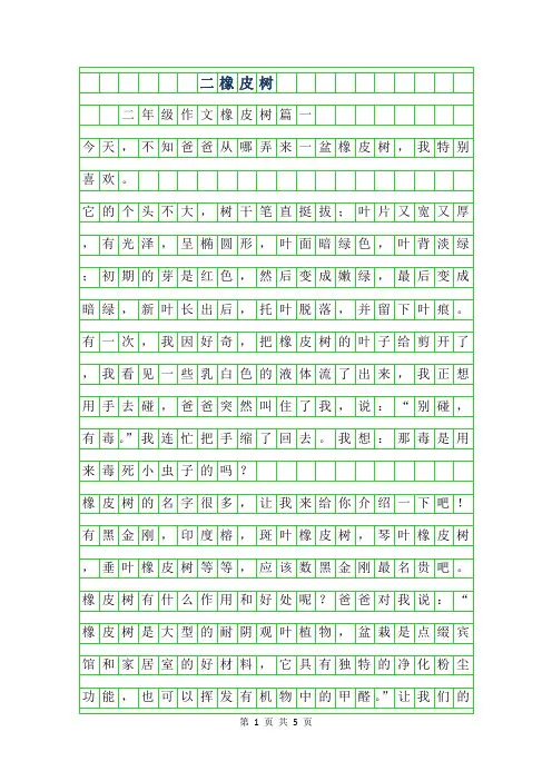 2019年二年级作文橡皮树