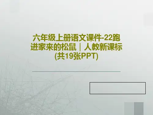 六年级上册语文课件-22跑进家来的松鼠｜人教新课标(共19张PPT)PPT21页