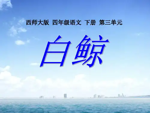 《白鲸》PPT课件2