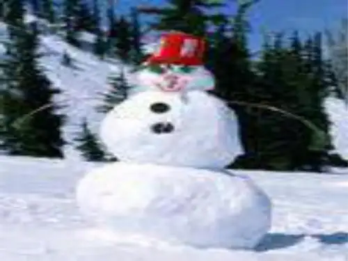 七年级语文雪地贺卡