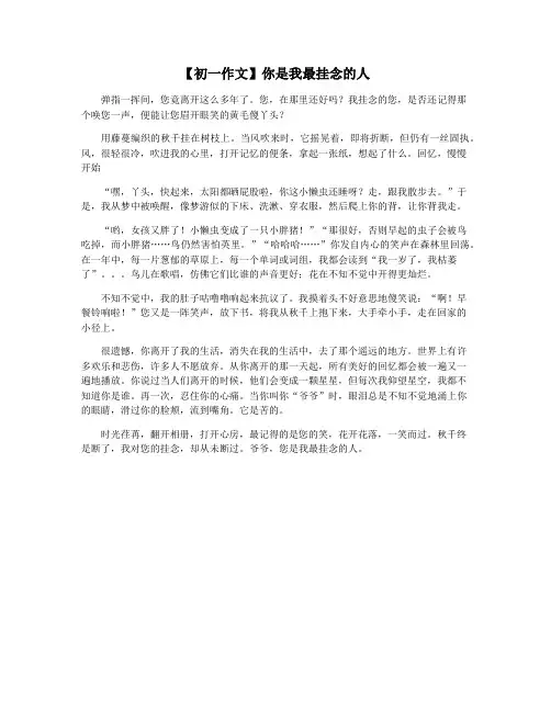 【初一作文】你是我最挂念的人