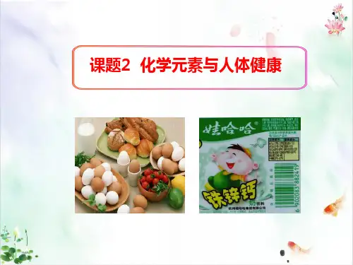 人教版化学《化学元素与人体健康》课件下载
