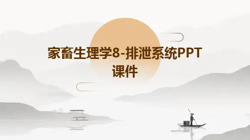 家畜生理学8-排泄系统PPT课件