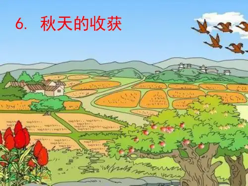 看图写话训练06收获的秋天