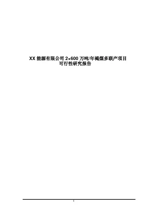 XX能源有XX能源有限公司2×600万吨每年褐煤多联产项目