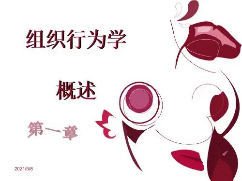 组织行为学概述PPT课件