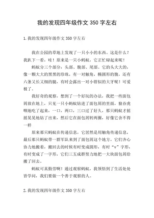 我的发现四年级作文350字左右