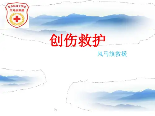 《创伤救护讲座》PPT课件