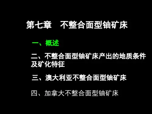 铀矿地质7资料文档