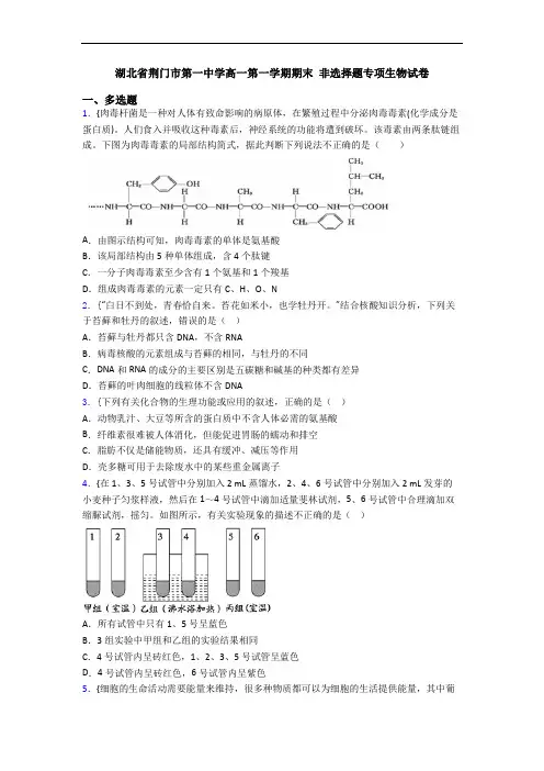 湖北省荆门市第一中学高一第一学期期末 非选择题专项生物试卷