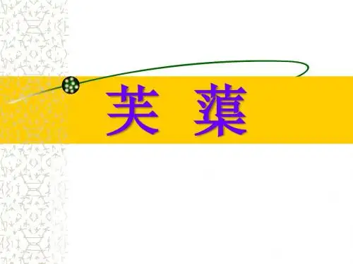 《芙蕖》精品ppt课件2