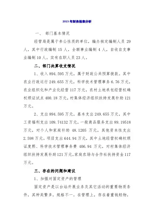 2015年财务报表分析