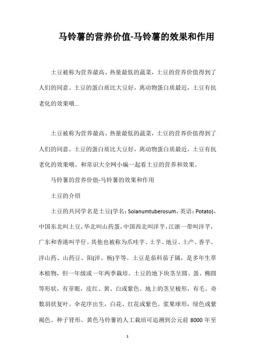 马铃薯的营养价值-马铃薯的效果和作用