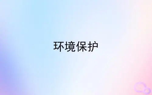 高考地理二轮复习课件选修环境保护课件(70张ppt)
