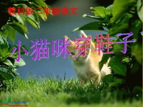 《小猫咪穿鞋子》课件