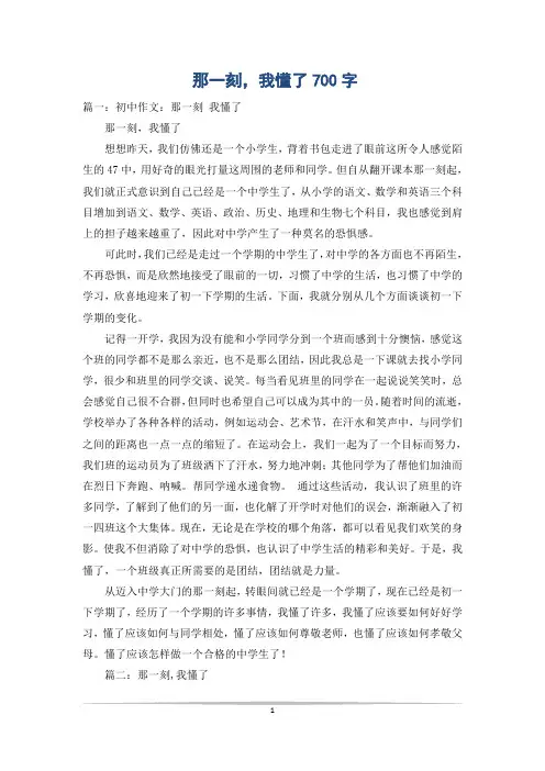 那一刻,我懂了700字