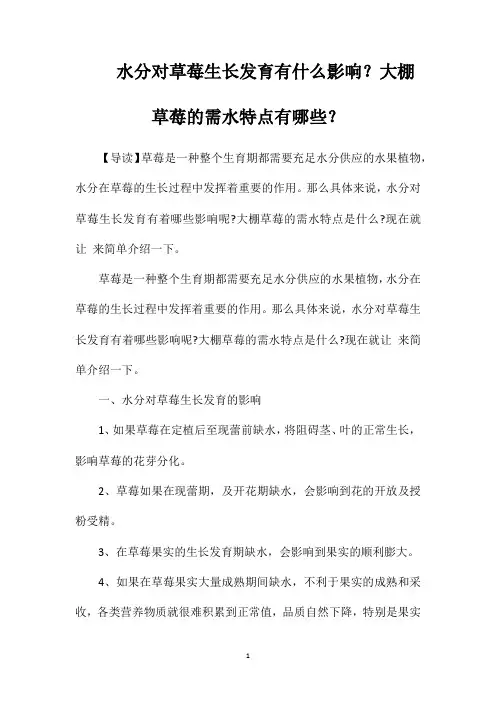 水分对草莓生长发育有什么影响？大棚草莓的需水特点有哪些？