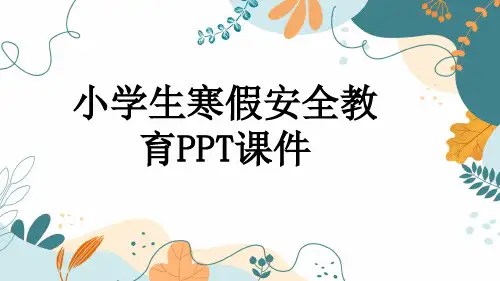 小学生寒假安全教育PPT课件