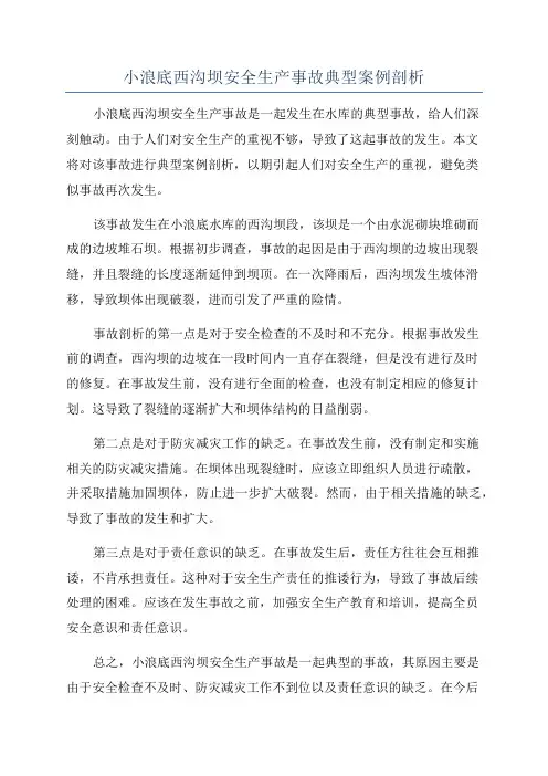 小浪底西沟坝安全生产事故典型案例剖析