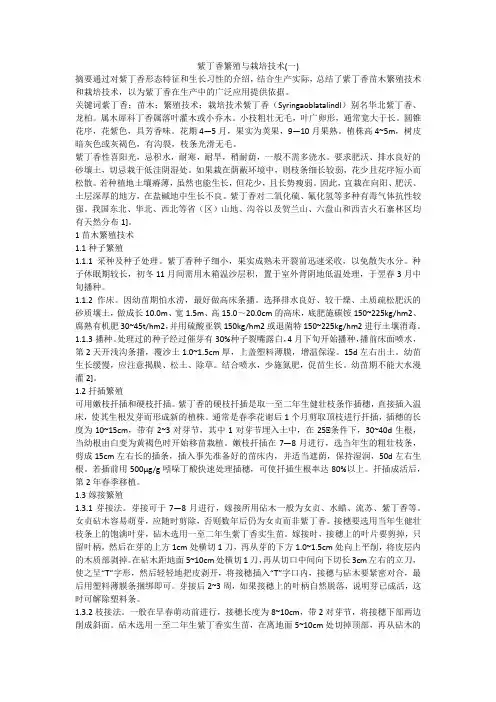 紫丁香繁殖与栽培技术(一)