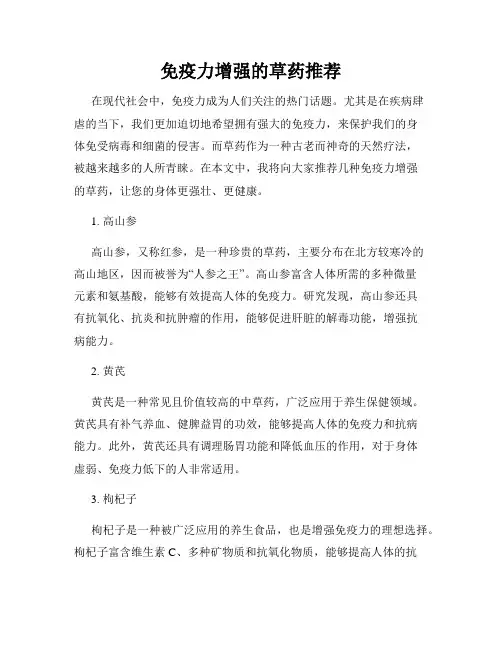 免疫力增强的草药推荐