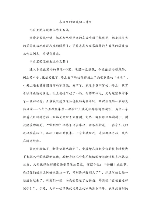 冬日里的温暖初三作文