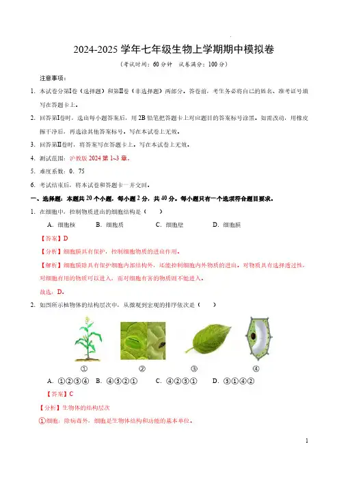 七年级生物期中模拟卷(全解全析)(沪教版2024)