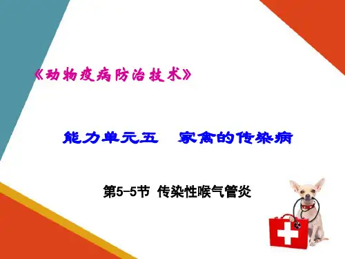 家禽传染病—传染性喉气管炎(动物疫病防治课件)