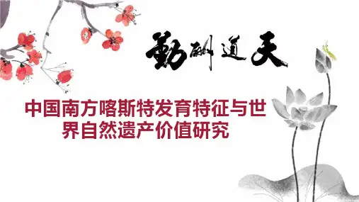 中国南方喀斯特发育特征与世界自然遗产价值研究