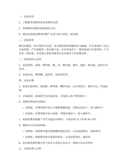 酵母发酵过程实验报告
