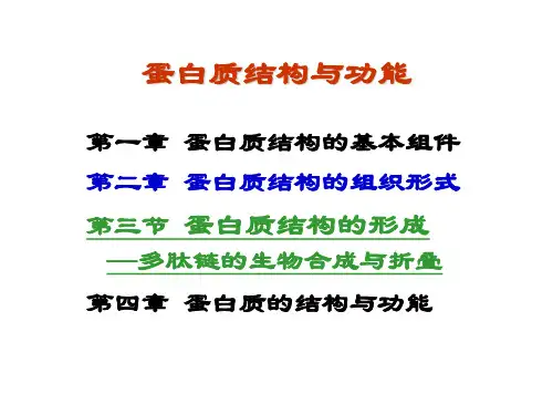蛋白质结构的组织形式