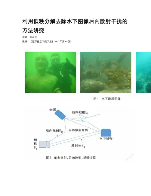 利用低秩分解去除水下图像后向散射干扰的方法研究