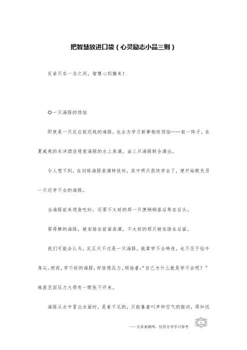 把智慧放进口袋(心灵励志小品三则)
