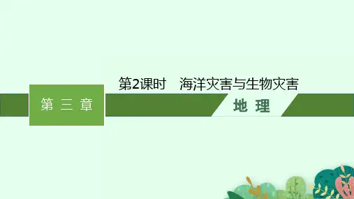 中图版高中地理必修第一册精品课件 第3章常见自然灾害的成因与避防 第一节第2课时 海洋灾害与生物灾害