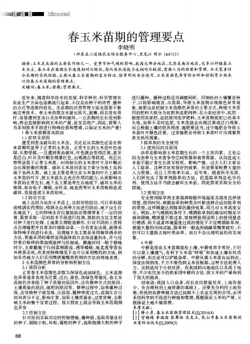 春玉米苗期的管理要点