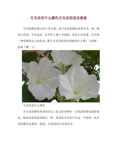 月光花有什么颜色 月光花花语及寓意