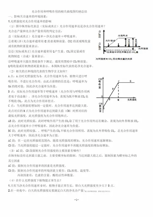 呼吸作用和光合作用曲线图的分析