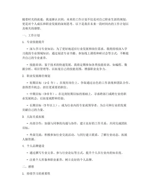 以后工作计划及感想