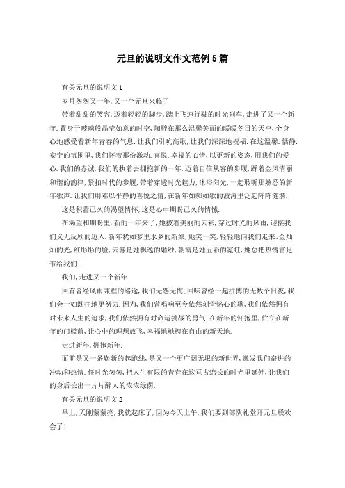 元旦的说明文作文范例5篇