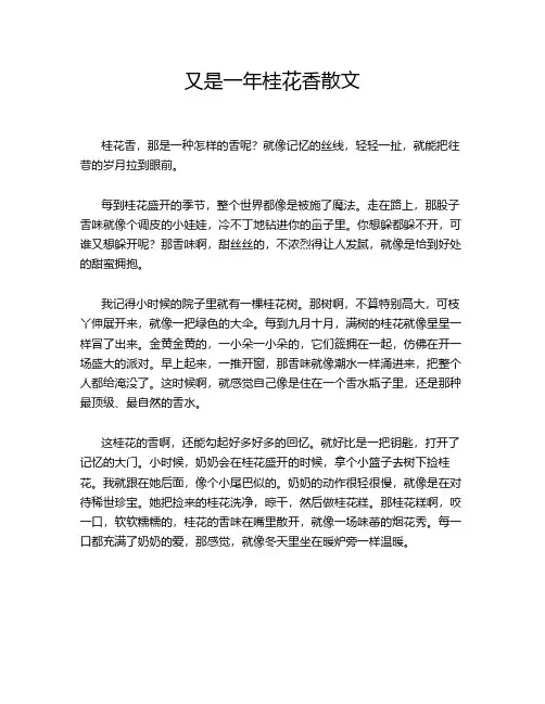 又是一年桂花香散文