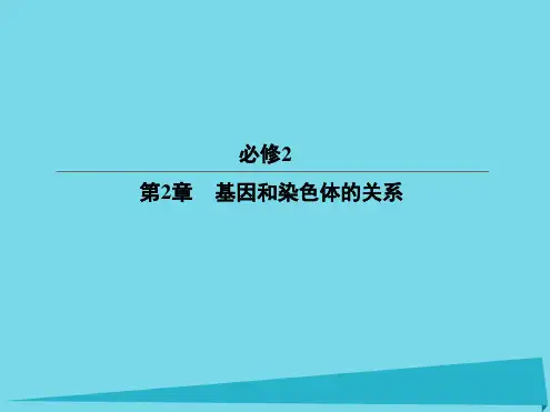 高考生物一轮复习第2章基因和染色体的关系第1节减数分裂和受精作用课件新人教版必修2