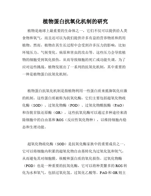 植物蛋白抗氧化机制的研究