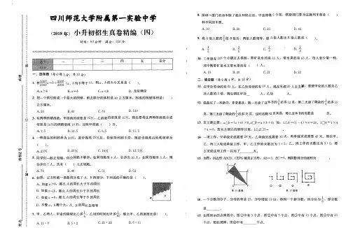 (2018年)四川师范大学附属第一实验中学小升初招生真卷精编(四)