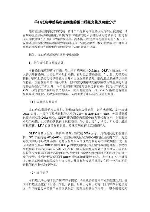 羊口疮病毒感染宿主细胞的蛋白质组变化及功能分析