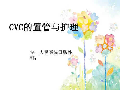 CVC置管与护理ppt课件