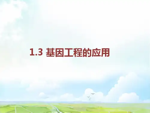 高中生物选修3精品课件4：1.3 基因工程的应用