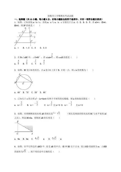 山东省聊城市临清市2021届九年级数学上学期期末考试试题(含解析)新人教版