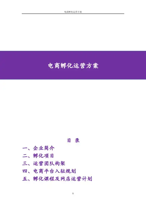 电商孵化运营方案