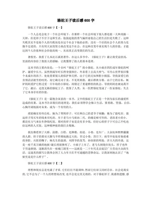 骆驼王子读后感600字