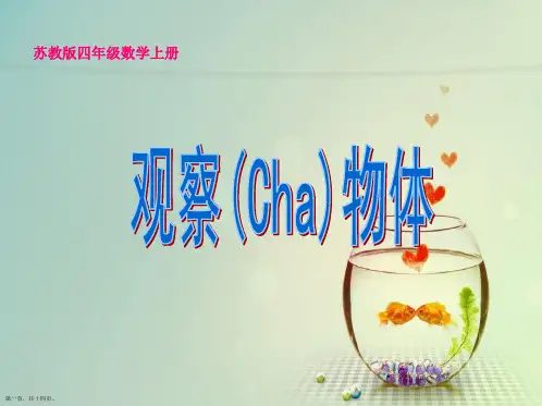 苏教版四年级数学上册《《观察物体》课件